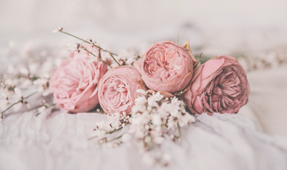 フェイシャルハーモニー7回コース入口